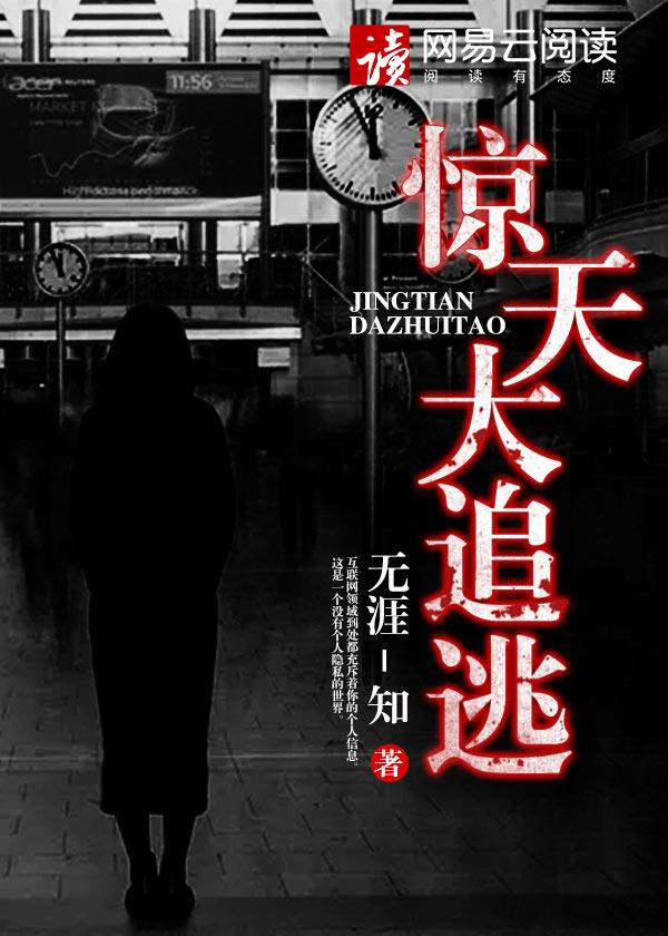 惊天大追逃TXT