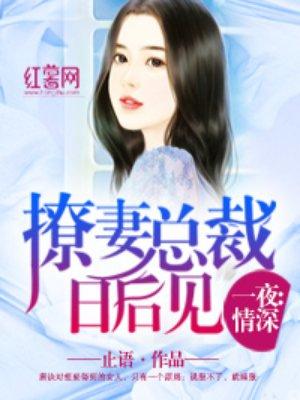 撩妻总裁轻轻宠全文免费