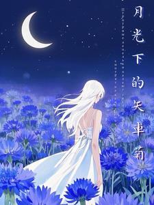电视剧月光下的
