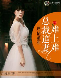 总裁重新追妻