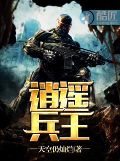 逍遥兵王叶成免费阅读全文没广告