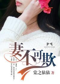 妻不可欺电视剧演员表