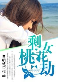 剩女桃花劫听书网