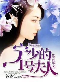 宁少的1号夫人