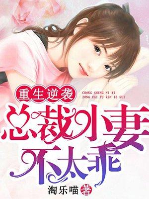 总裁的重生小妻