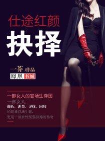 仕途红颜抉择热度