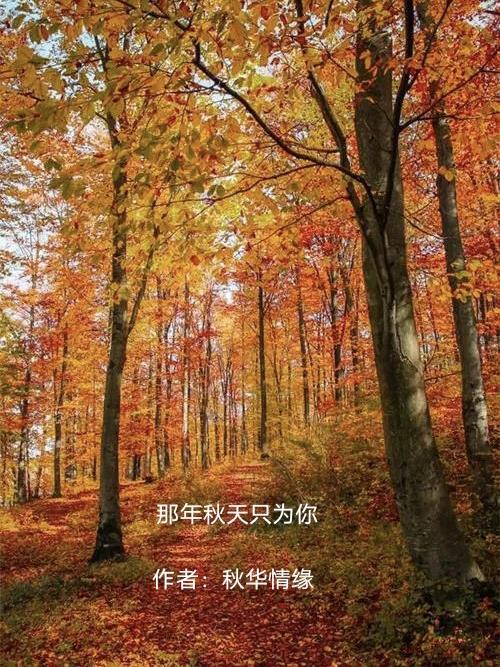 那年秋天歌词张新成