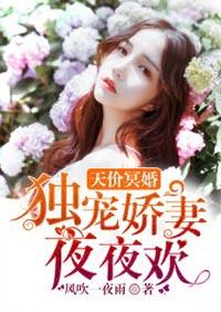 天价娇妻夜帝独家婚宠