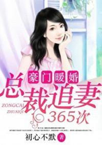 豪门追妻·总裁离婚吧
