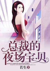 总裁的夜宠儿