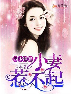 四少绝宠娇妻惹惹不起