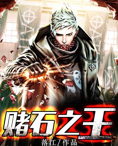 赌石之王全文TXT