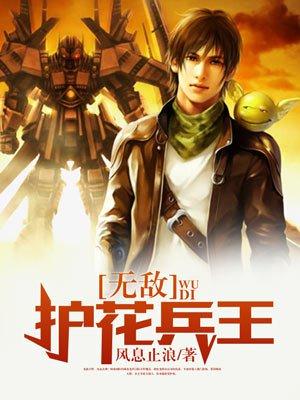 护花兵王叶天