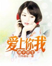 歌曲爱上你我不后悔原唱视频