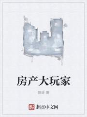 房产大玩家txt八零网