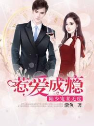 陆少私宠惹火妻