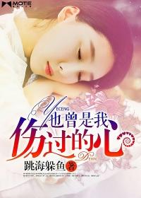 也许是我伤了你的心歌曲