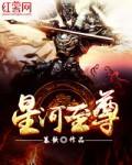 星河至尊16