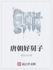 唐朝好舅子完整版