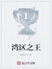 湾区之光图片