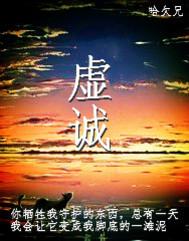 虚诚伪挚安装