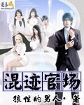 混迹官场三十年