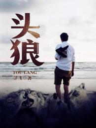 头狼六子结局