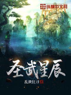 圣武星辰王诗雨怎么得的传承