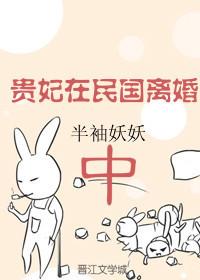 贵妃民国离婚中免费