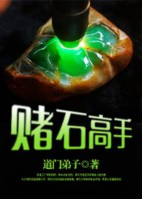 赌石高手第二部