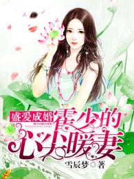 盛爱成婚霍少的心尖宠免费阅读