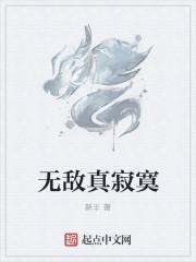 无敌真寂寞TXT校对版