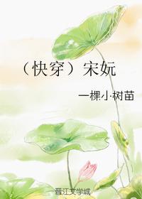 快穿宋衿