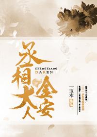 丞相大人金安无删减