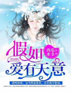 假如爱有天意原版