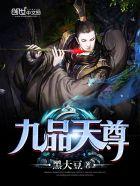 九品天仙决传承