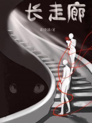 长走廊用什么拖把好