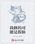我修的可能是假仙番外