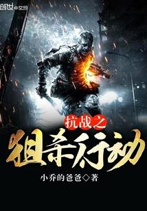 抗战之狙击王