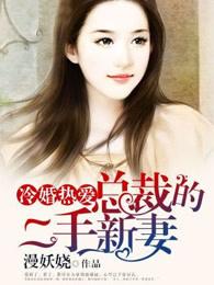 冷婚热爱总裁的二手新