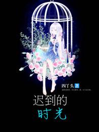 迟到的时光 短剧在线观看