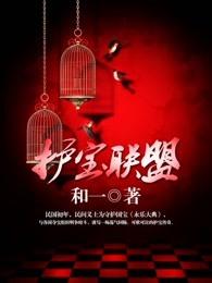 护宝联盟第一季结局