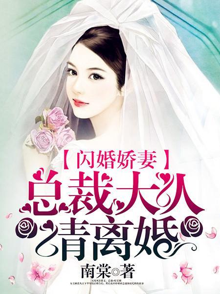 闪婚娇妻总裁大人请离婚第1集