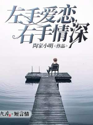 左手情右手爱电视