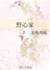 野心家歌曲完整版