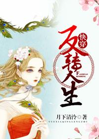 炮灰人生大结局