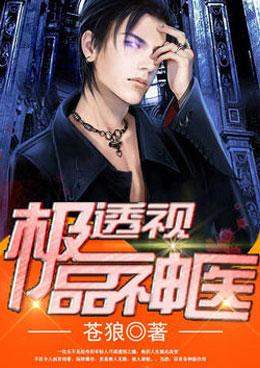 极品透视神医陆逸