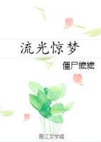 流光惊梦TXT