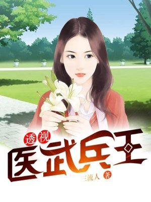 透视兵王神医