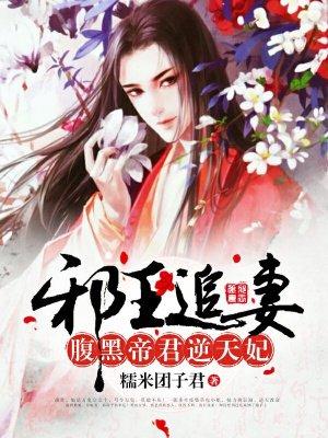 邪王追妻腹黑大小姐免费阅读